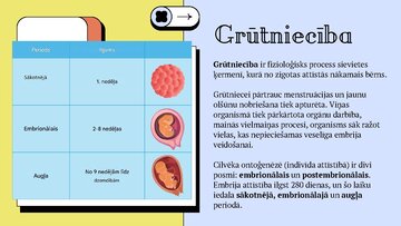 Презентация 'Cilvēka embrionālā attistība', 2.