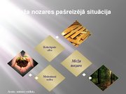 Реферат 'Latvijas meža nozare: pašreizējā situācija un attīstības iespējas', 33.