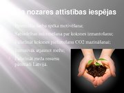 Реферат 'Latvijas meža nozare: pašreizējā situācija un attīstības iespējas', 38.