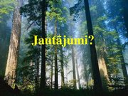 Реферат 'Latvijas meža nozare: pašreizējā situācija un attīstības iespējas', 39.