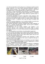 Реферат 'Darba aizsardzības instrukcija zemes rakšanas un cauruļvadu montāžas darbiem', 19.