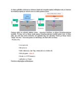 Образец документа 'Eksāmena atbildes Medicīniskās attēlošanas fizikālie pamati', 53.