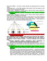 Образец документа 'Eksāmena atbildes Medicīniskās attēlošanas fizikālie pamati', 67.