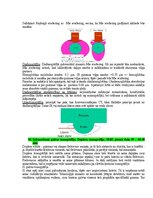 Образец документа 'Eksāmena atbildes Medicīniskās attēlošanas fizikālie pamati', 87.