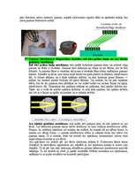 Образец документа 'Eksāmena atbildes Medicīniskās attēlošanas fizikālie pamati', 88.