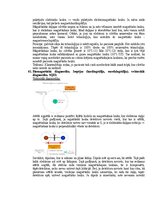 Образец документа 'Eksāmena atbildes Medicīniskās attēlošanas fizikālie pamati', 93.