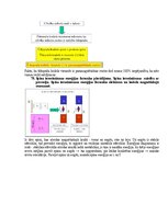 Образец документа 'Eksāmena atbildes Medicīniskās attēlošanas fizikālie pamati', 102.