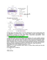 Образец документа 'Eksāmena atbildes Medicīniskās attēlošanas fizikālie pamati', 107.