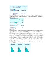 Образец документа 'Eksāmena atbildes Medicīniskās attēlošanas fizikālie pamati', 125.