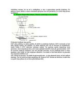 Образец документа 'Medicīniskās attēlošanas fizikālie pamati', 19.