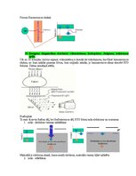 Образец документа 'Medicīniskās attēlošanas fizikālie pamati', 52.