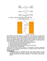 Образец документа 'Medicīniskās attēlošanas fizikālie pamati', 79.