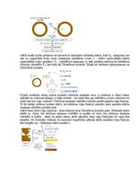 Образец документа 'Medicīniskās attēlošanas fizikālie pamati', 95.