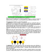 Образец документа 'Medicīniskās attēlošanas fizikālie pamati', 111.
