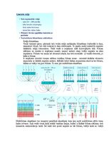 Образец документа 'Medicīniskās attēlošanas fizikālie pamati', 129.