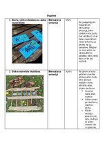 Конспект 'Patstāvīgais darbs dabaszinību metodikā - Darbs dabā pavasarī', 10.