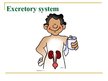 Презентация 'Excretory System', 1.