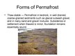 Презентация 'Permafrost and Soil Fluction', 8.