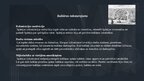Презентация 'Spāņu un portugāļu kolonizācija Ziemeļamerikā un Dienvidamerikā ', 6.
