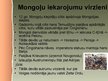 Презентация 'Mongoļu iebrukums Eiropā', 8.