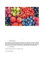 Реферат 'Latvijas ogas', 3.