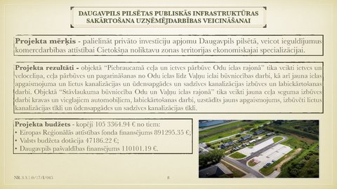 Презентация 'Daugavpils pilsētas īstenoto projektu analīze', 8.