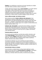 Конспект 'Seno latviešu vēsture, kultūra, mitoloģija, sabiedrība un kultūras mantojums: ko', 25.