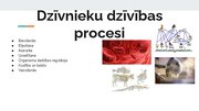 Презентация 'Dzīvnieku dzīvības procesi', 2.