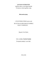 Эссе 'Bērncentrētā pieeja', 1.