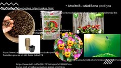 Презентация 'Integrēta mācību satura plānošana tematam (1 mēnesis)', 16.