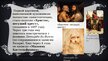 Презентация 'Джорджоне', 5.