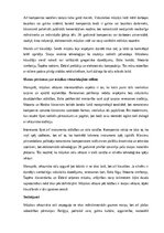 Конспект 'Mūzikas vēsturiskie stili', 13.