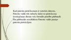 Презентация 'Patents, patentmaksa', 12.