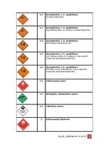 Образец документа 'Darba aizsardzības instrukcija darbam ar ķīmiskām vielām', 4.