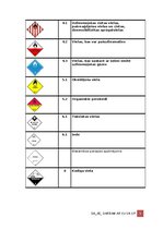 Образец документа 'Darba aizsardzības instrukcija darbam ar ķīmiskām vielām', 5.