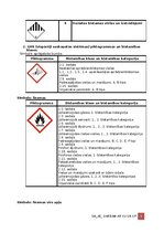 Образец документа 'Darba aizsardzības instrukcija darbam ar ķīmiskām vielām', 6.