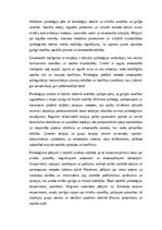 Эссе 'Psiholoģija: cilvēka prāta, uzvedības un sabiedrības izpēte”', 3.