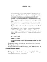 Конспект 'Sapulces plānošana 3. vecuma posmam', 5.