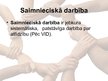 Презентация 'Latvijas un NVS valstu saimnieciskā sadarbība', 2.