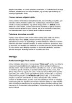 Конспект 'Acteki: vēsture, kultūra, mitoloģija, sabiedrība un kultūras mantojums', 6.