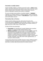 Конспект 'Acteki: vēsture, kultūra, mitoloģija, sabiedrība un kultūras mantojums', 13.