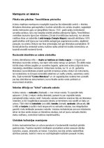 Конспект 'Acteki: vēsture, kultūra, mitoloģija, sabiedrība un kultūras mantojums', 16.