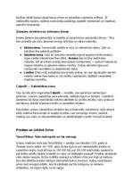 Конспект 'Acteki: vēsture, kultūra, mitoloģija, sabiedrība un kultūras mantojums', 19.