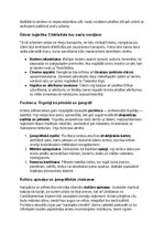 Конспект 'Acteki: vēsture, kultūra, mitoloģija, sabiedrība un kultūras mantojums', 32.