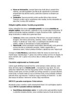 Конспект 'Acteki: vēsture, kultūra, mitoloģija, sabiedrība un kultūras mantojums', 38.