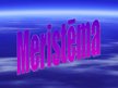 Презентация 'Meristēma', 1.