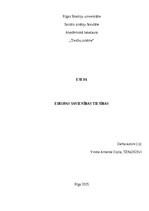Эссе 'Krievijas un ukrainas karš ietekme uz Eiropas Savienības tiesībām', 1.