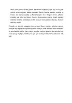 Эссе 'Politiskā struktūra senajā Romā – principāts un domināts', 3.