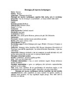 Реферат 'Ķengurveidīgie', 3.