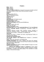 Реферат 'Ķengurveidīgie', 5.